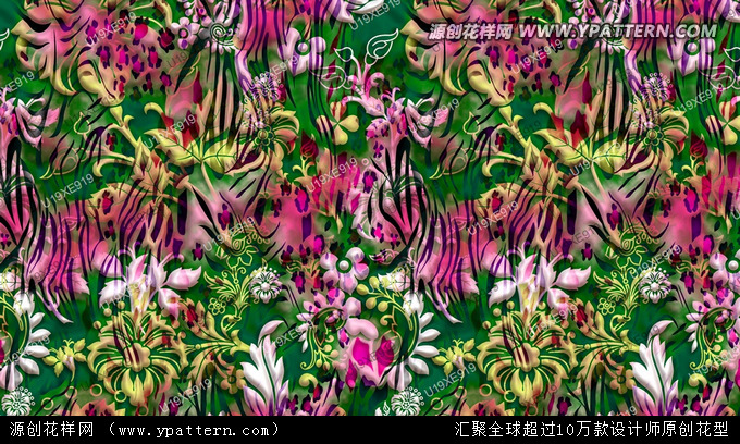 ���ϻ������w���� ӡ���D�� ���n����